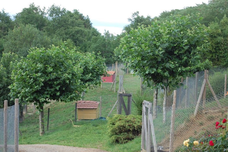Pension du Moulin Pommier — dogsitter à Annonay