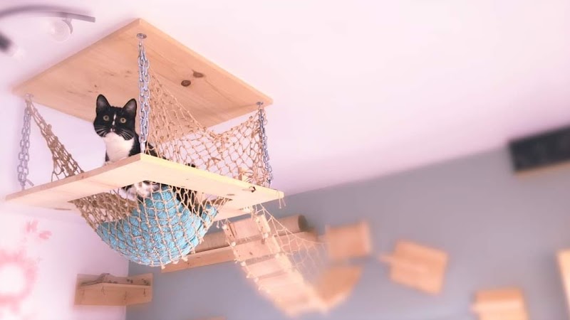 Pension (familiale) CatNacDog’s — dogsitter à Saint-Chamond