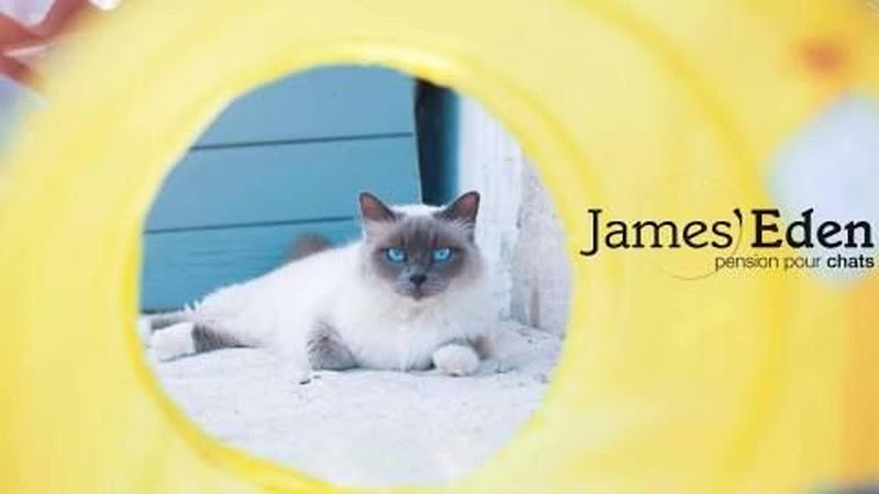 Pension Garderie James Eden — dogsitter à Saint-Maximin-la-Sainte-Baume