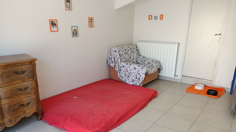 Pension passion — dogsitter à Carpentras