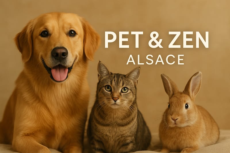 Pet and Zen Alsace — dogsitter à Colmar