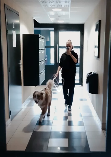 Pet.M.Sitter33 — dogsitter à Bordeaux