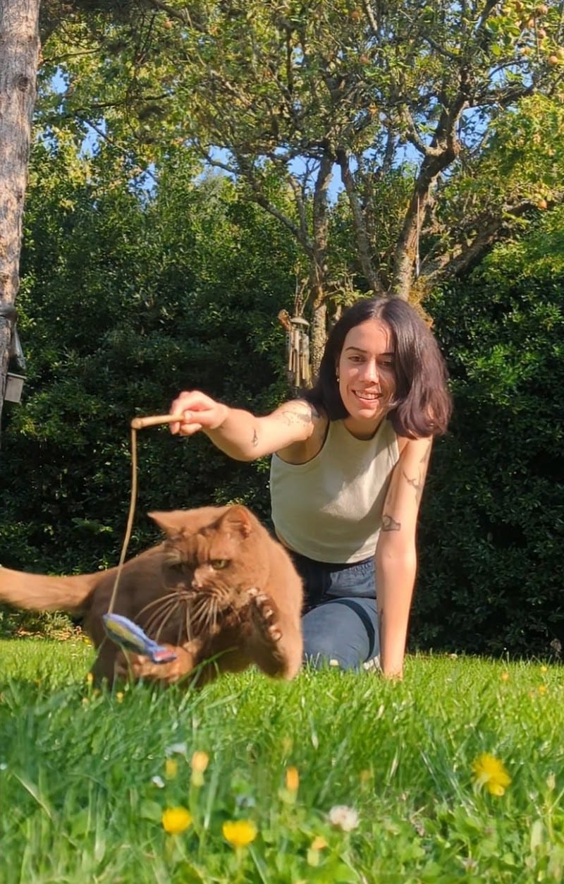 Rennes en laisse — dogsitter à Rennes