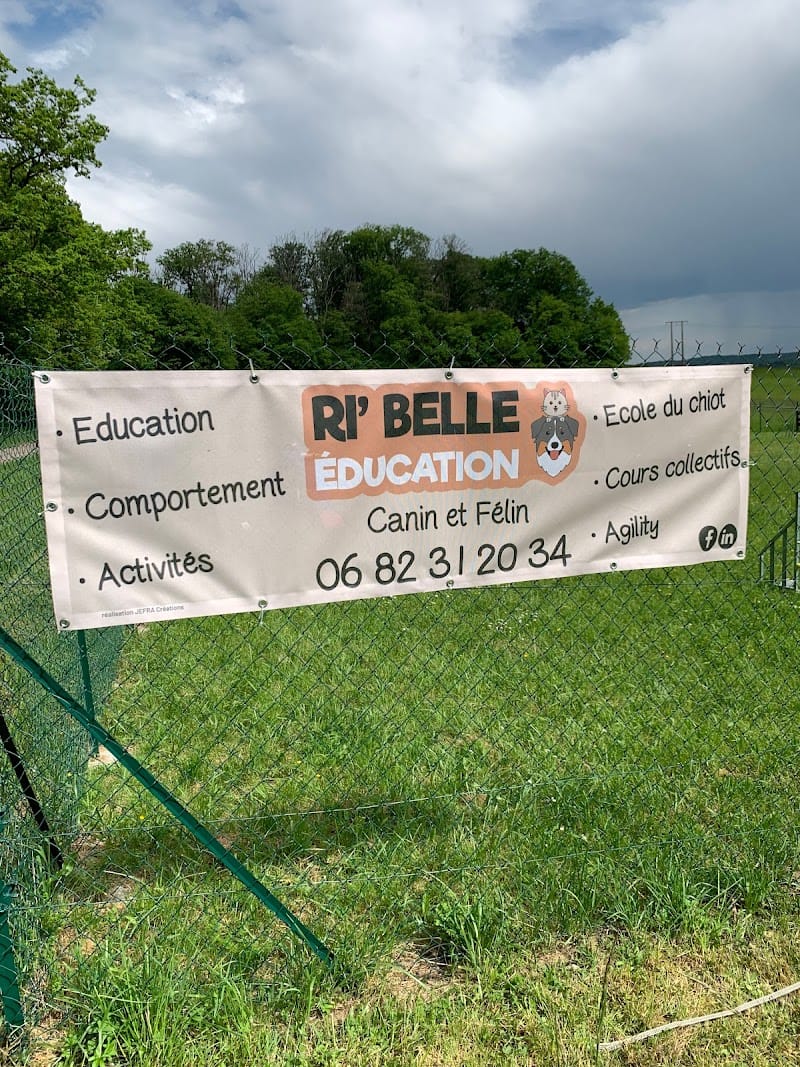 Ri’Belle Education — dogsitter à Forbach