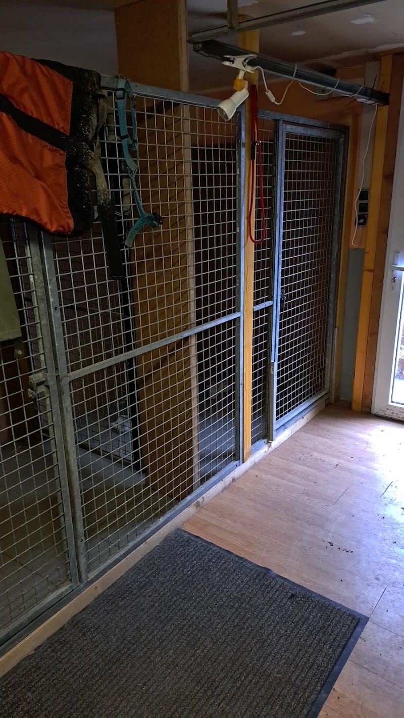 Sand&Fox — dogsitter à Obernai