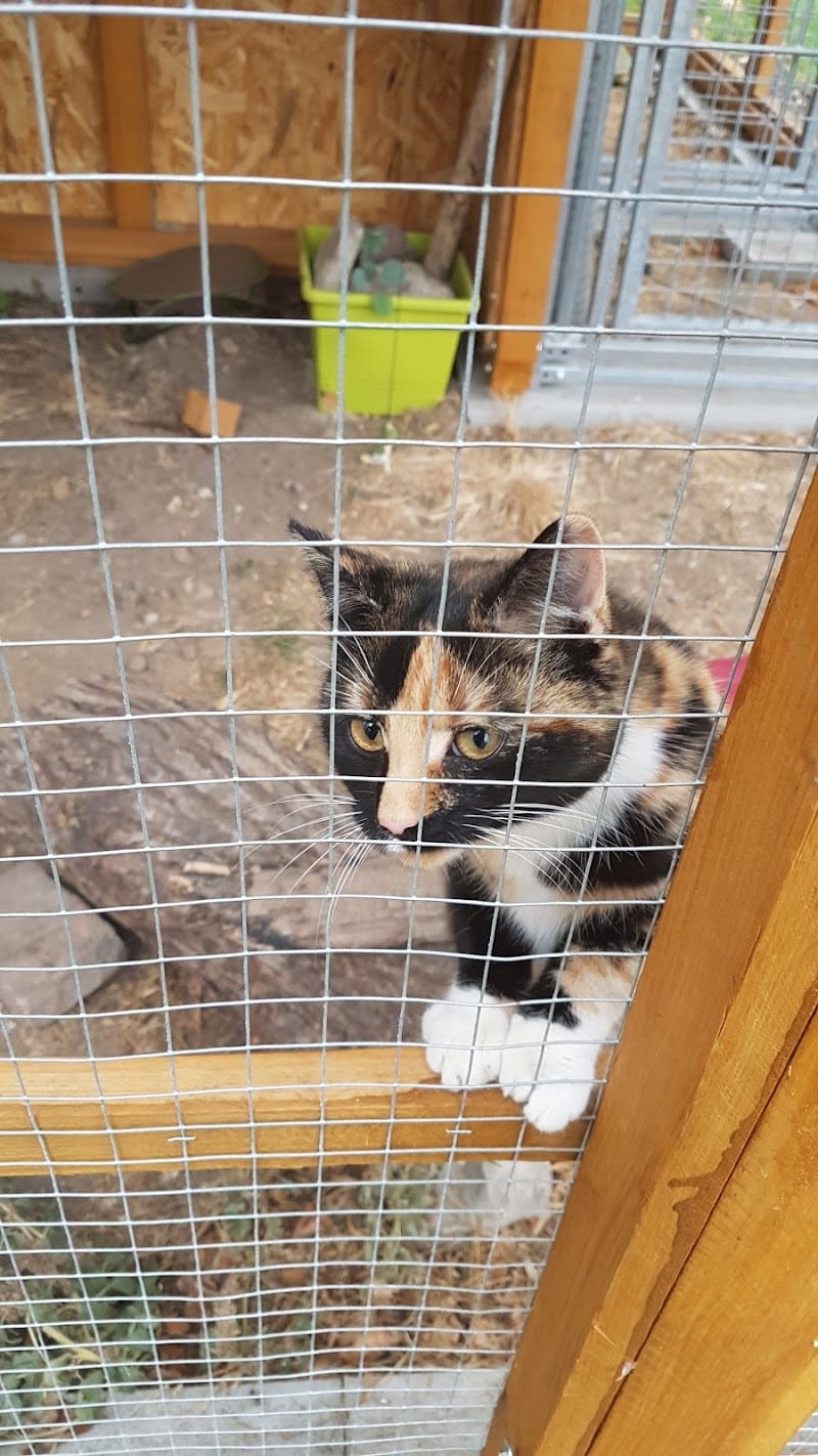 SARL PRAIRIE DE LA SOMMERAU — dogsitter à Saverne