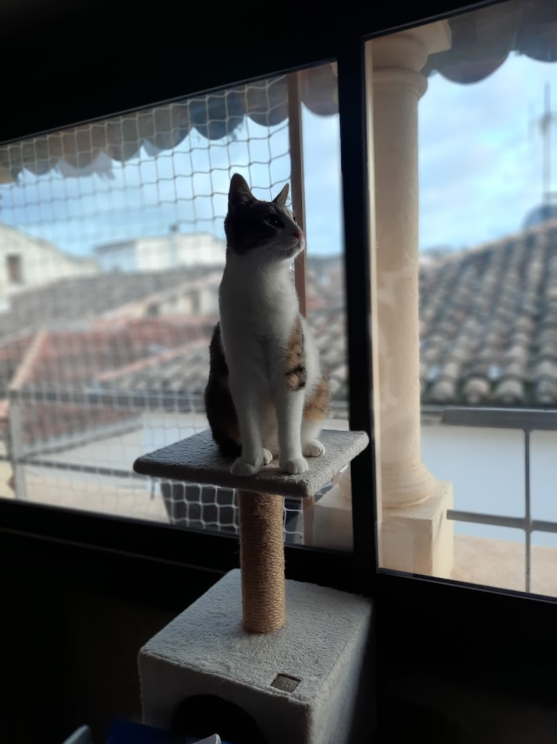 Serenydog - Macs — dogsitter à Aix-en-Provence