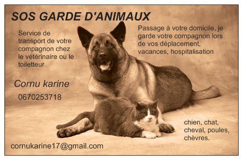 sos garde d'animaux — dogsitter à Guérande