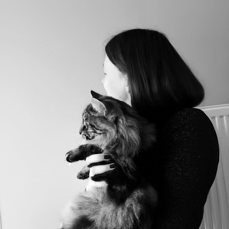 Sous la patte de Mama, petsitter chat-chien: Haubourdin, Lille et 8 km alentours — dogsitter à Lille