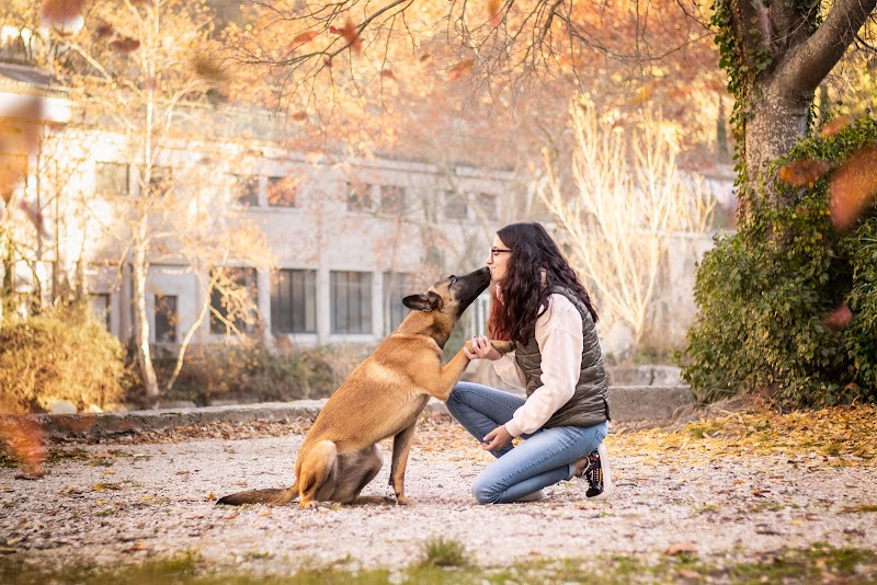 Tata Malo, sourires et Câlins Pet-sitter — dogsitter à Nîmes