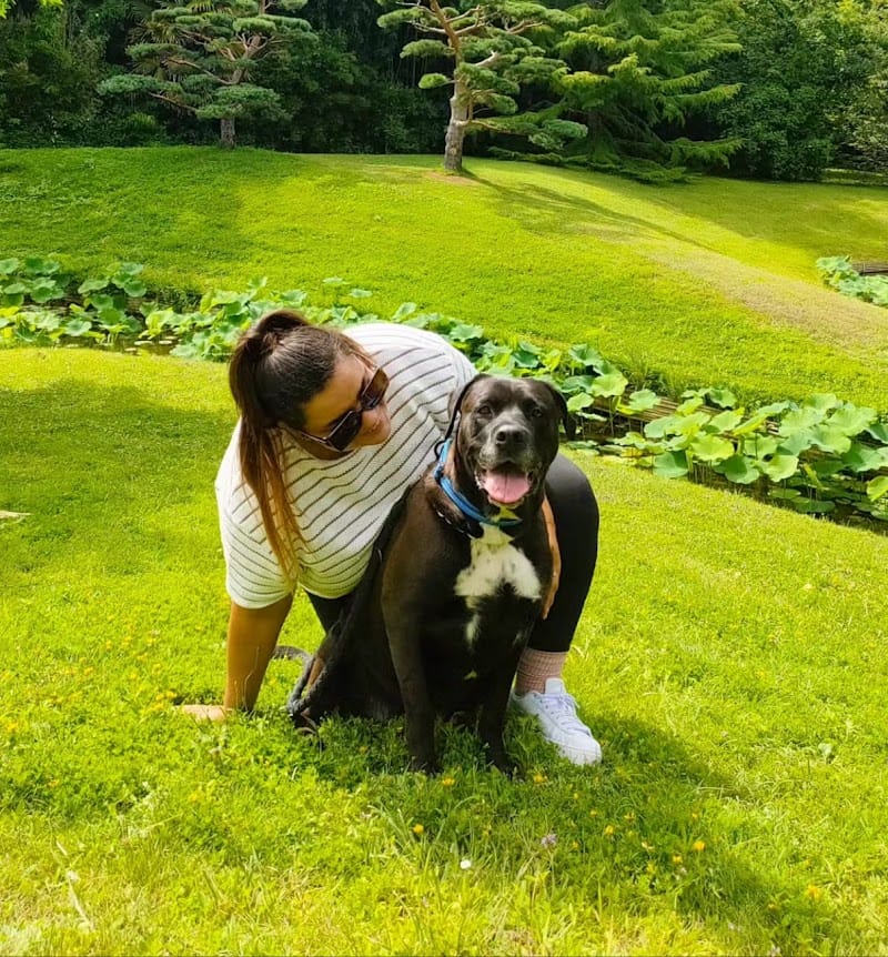 Thalya Garderie : pension animalière familiale et garde à domicile Sommières et alentours — dogsitter à Lunel