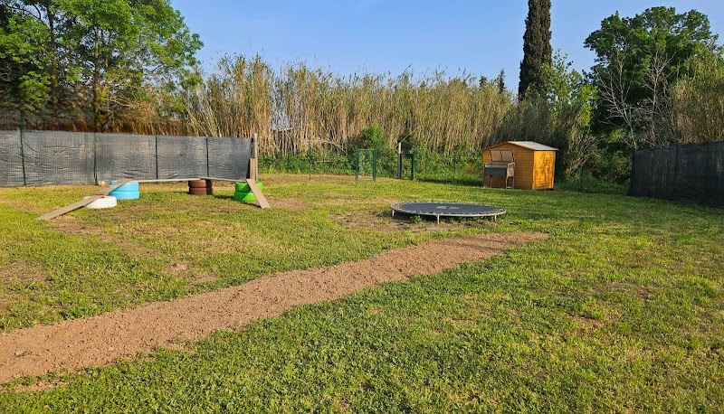 THE PLACE 2 DOG - Centre aéré pour chiens - Garde chiens - Pension canine. — dogsitter à Hyères