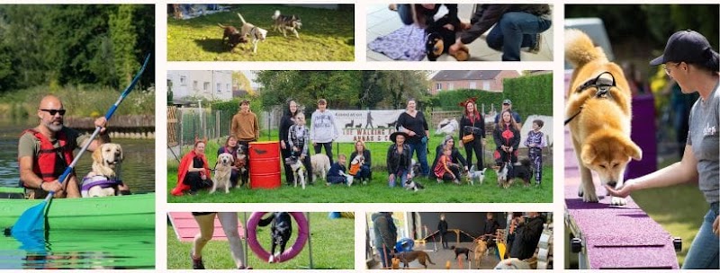 The Walking Dog Centre de Loisirs Canin — dogsitter à Arras