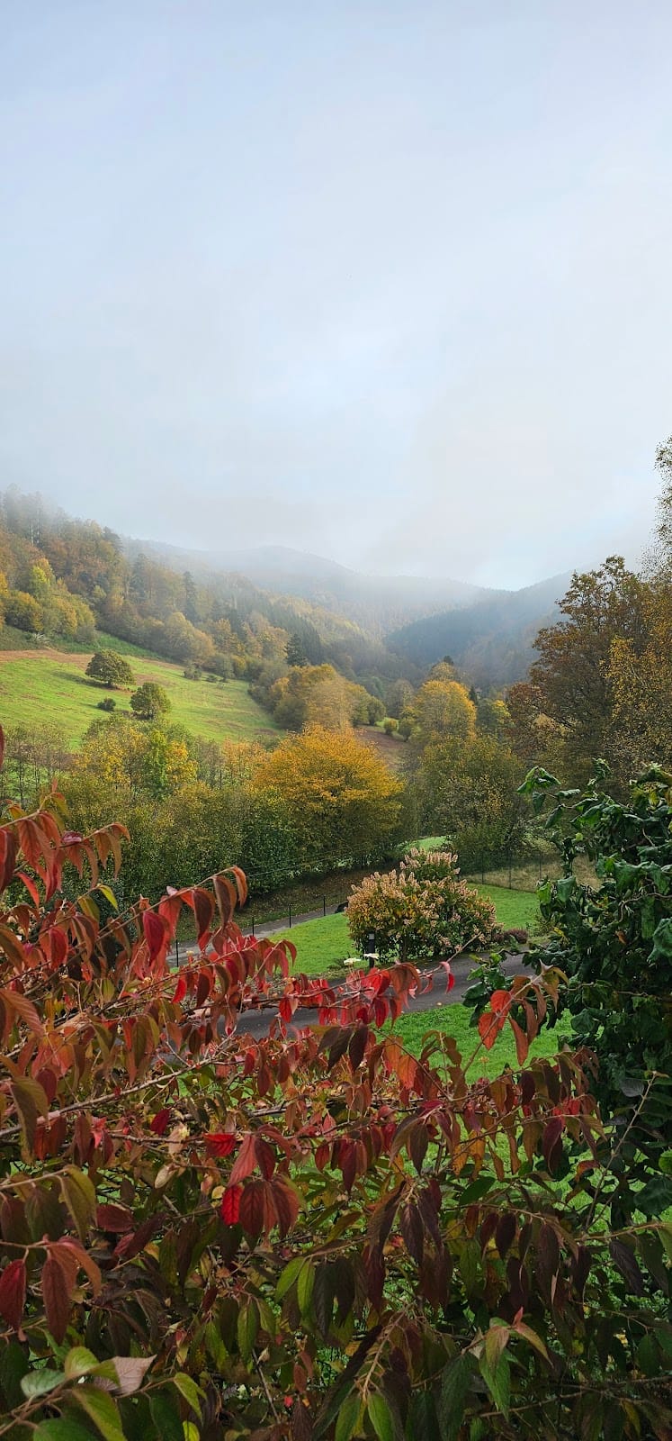 The Wolf Moon Farm — dogsitter à La Broque