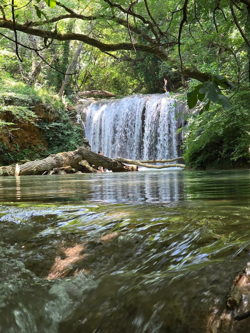 Tourves — dogsitter à Saint-Maximin-la-Sainte-Baume