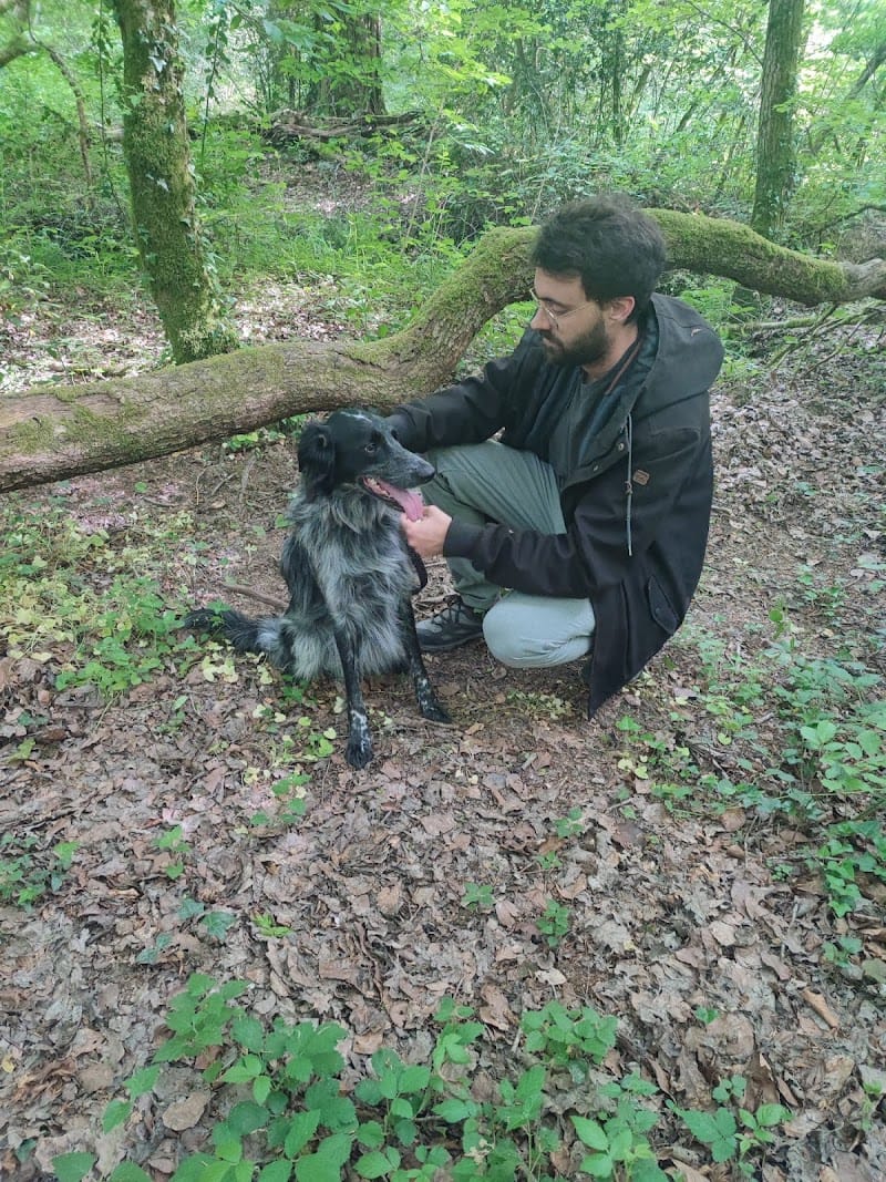 Toutou'O'Top — dogsitter à Bruz