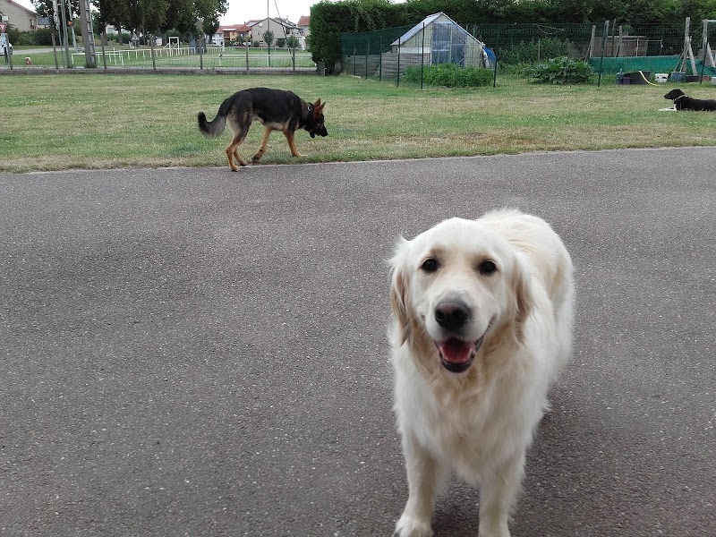 TOUTOUHOTEL — dogsitter à Forbach