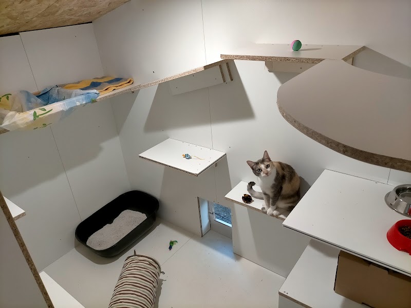 Vacanzanimaux — dogsitter à Lavaur