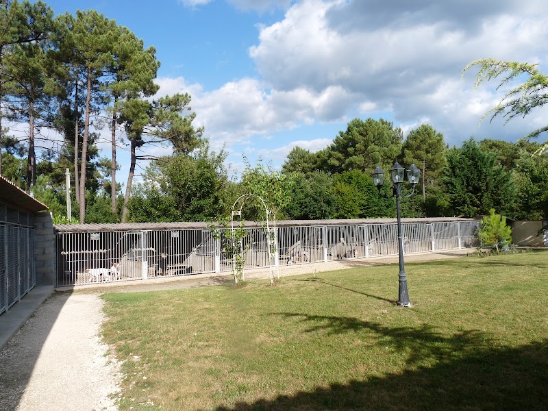 Veyssière Laurent. Espace Canin du Clos Chass'Rêve. Elevage BEST OF FAROLAVE — dogsitter à Montpon-Ménestérol