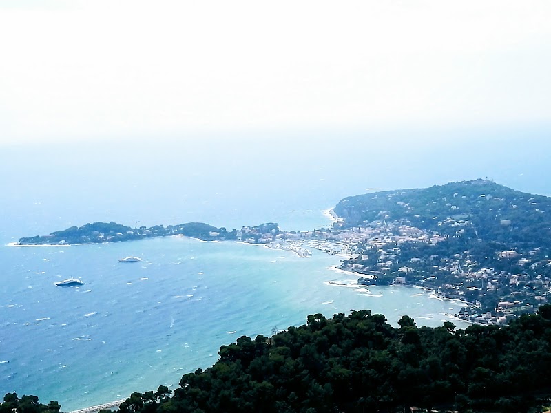 Vie de Chien — dogsitter à Nice