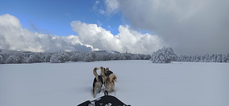 Youk Valley — dogsitter à Wittenheim