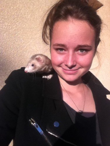 Mon furet et moi