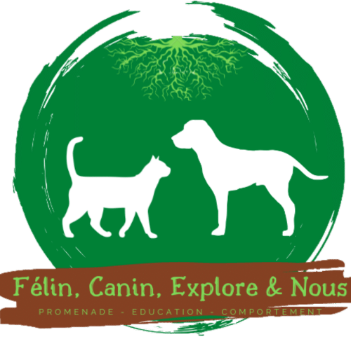 felin-canin-explore-et-nous-alice-marchand-logo-transparent